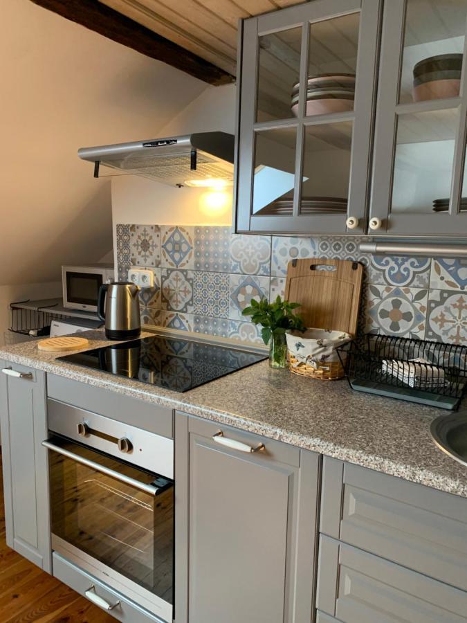 Apartman Jachymov Klinovec المظهر الخارجي الصورة